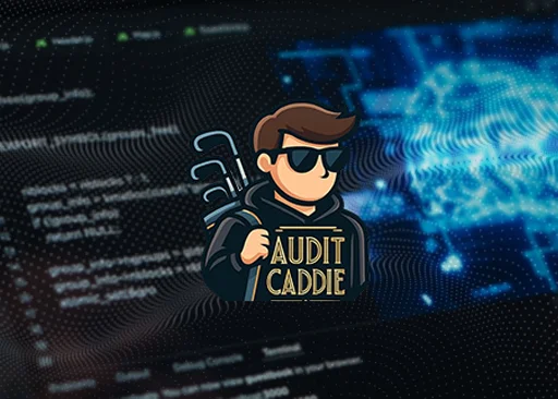 audit-caddie-thumbnail-resized